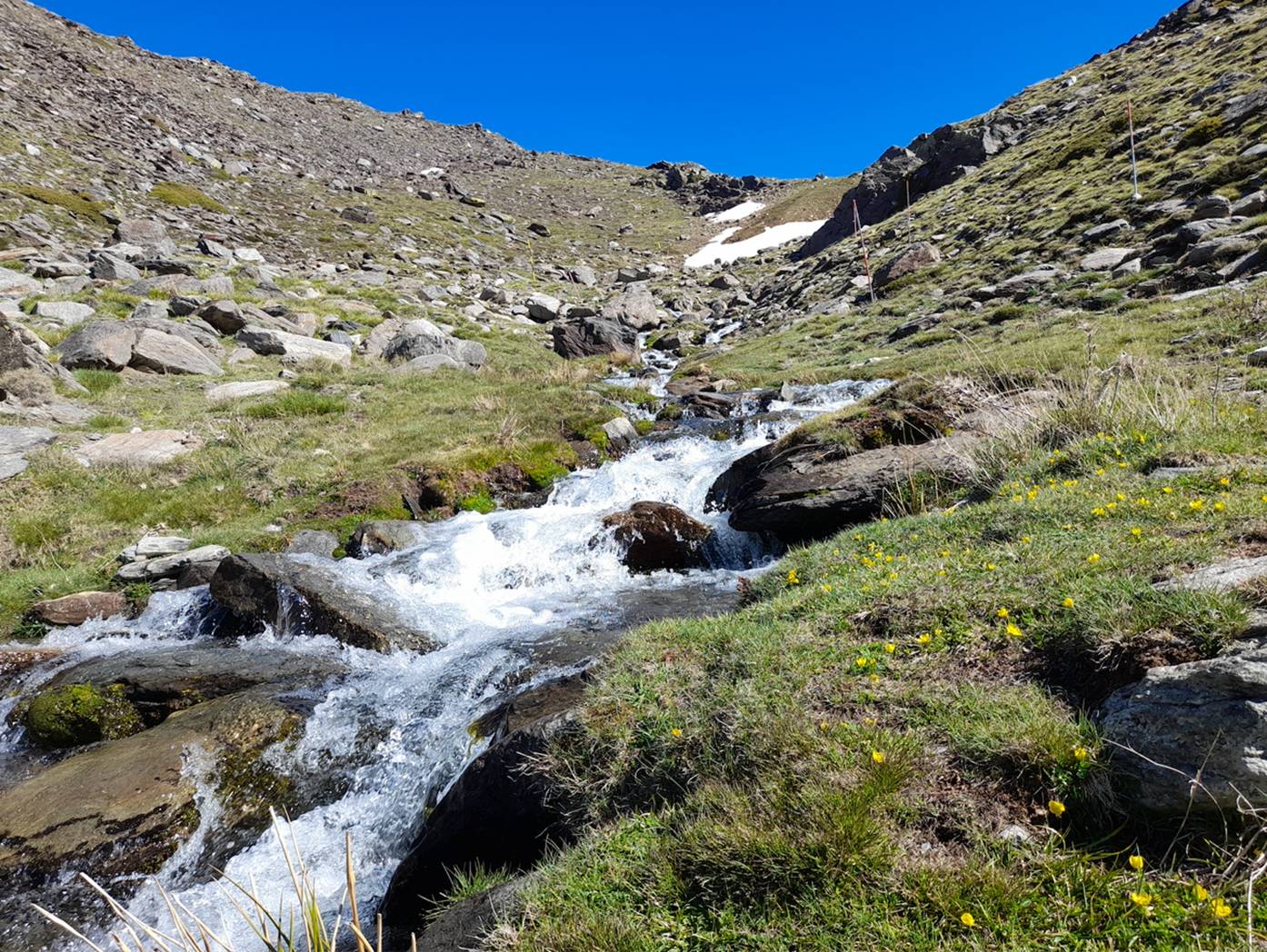 A high mountain stream in Spain&#8217;s Sierra Nevada,